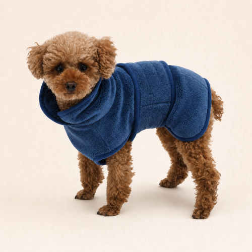 Small brown dog wearing a Blue TowelPup dog drying robe