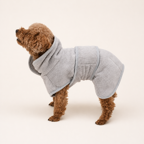 Small brown dog wearing a Gray TowelPup dog drying robe